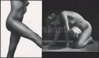 cca 1954 Ergy Landau (korábban Landau Erzsébet) (1896-1967) magyar - francia fényképész és fotóművész felvételei, 2 db modern nagyítás, jelzés nélkül, 21x15 cm