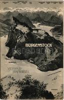 1907 Bürgenstock, view with map