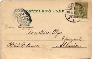 1902 Miskolc, Igazságügyi palota. Verő J. kiadása. Art Nouveau, floral (b)