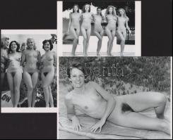 Eltérő időben készült, szolidan erotikus felvételek, 3 db modern nagyítás, jelzés nélkül, 15x21 cm és 15x10 cm