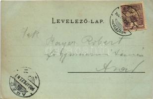 1900 Miskolc, Diósgyőri várrom este holdfényben. Lővy József fia kiadása (EK)