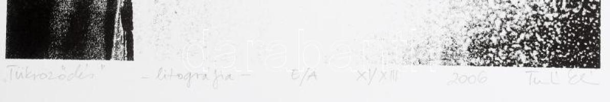 Olvashatatlan jelzéssel: Tükröződés, 2000. Litográfia, papír, művészpéldány E.A. X/XIII számozással,...