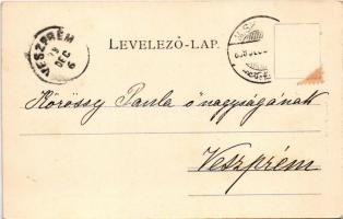 1899 Miskolc, Avas, Erzsébet tér és fürdő, Kossuth Lajos szobor. Ferenczi B. kiadása