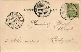 1902 Miskolc, Erzsébet tér és fürdő, Kossuth szobor. Verő J. kiadása (EB)