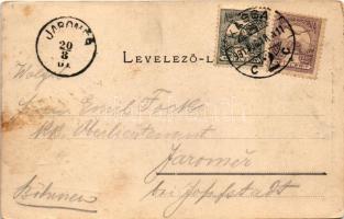 1901 Miskolctapolca, Görömbölytapolca, Görömbölyi-Tapolca, Tapolca (Miskolc); erdő részlet. Lővy Józ...