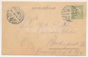 1905 Mohács, II. Lajos szobor a Csele-pataknál. Weiser Miksa kiadása, Neuber Rafael Art Nouveau, flo...