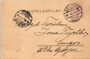 1899 Mohács, II. Lajos szobor a Csele-pataknál. Weiser Miksa kiadása (EK)