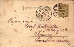 1903 Mezőtúr, Artézi kút, Gyikó K. üzlete és saját kiadása (b)