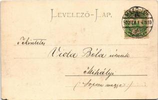 1902 Mezőtúr, látkép (EM)