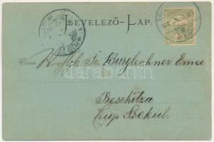 1906 Buziás, Buziásfürdő, Baile Buzias; Gyógyterem. Georg Trautmann kiadása / Cursalon / spa (szakad...