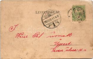 1903 Márianosztra, Maria-Nostra; Országos női fegyintézet, börtön. Zoller József kiadása (b)