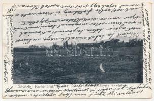 1905 Pankota, Pancota; Herczeg Súlkovsky féle sörfőzde. Beamter Ödön kiadása / brewery (EK)