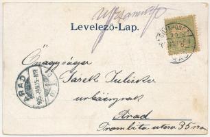 1905 Pankota, Pancota; Herczeg Súlkovsky féle sörfőzde. Beamter Ödön kiadása / brewery (EK)