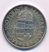 1991. 100Ft Cu-Ni "II. János Pál pápa látogatása" kapszulában T:BU patina Adamo EM119