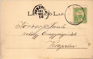 1902 Máriagyűd (Siklós), kegytemplom, piac. Feiler Mariska kiadása (EK)