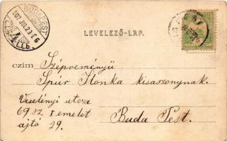 1902 Máriabesnyő (Gödöllő), kegytemplom. Divald Károly 198. sz. (EK)