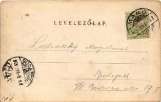1905 Makó, látkép (EK)