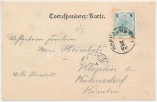 1900 Vatra Dornei, Dornavátra, Bad Dorna-Watra (Bukovina, Bucovina, Bukowina); Curorte, Curhaus. Ver...