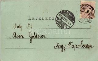 1899 Beregvár, Karpaty, Karpati (Szentmiklós, Beregszentmiklós, Cinadievo, Chynadiyovo); Schönborn k...