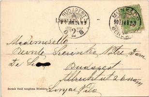 1907 Munkács, Mukacheve, Mukachevo, Mukacevo; Városháza. Bertsik Emil kiadása / town hall (fl)