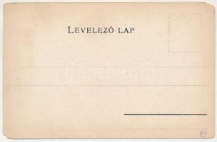 Máramaros vármegye térképe. Károlyi Gy. kiadása / Map of Maramures county (EM)