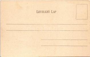 Munkács, Mukacheve, Mukachevo, Mukacevo; látkép. Bertsik Emil kiadása / general view (EK)