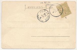 1904 Pécska, Pecica; Maros részlet a komppal. Holzeisen József kiadása / river Mures, ferry (tűnyomo...