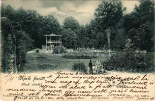 1901 Lipik, Lipik-fürdő, park részlet. Schmidt Edgar / spa park (fa)