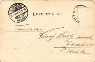 1901 Lipik, Lipik-fürdő, park részlet. Schmidt Edgar / spa park (fa)