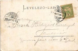 1902 Nagybecskerek, Zrenjanin, Veliki Beckerek; Megyeháza, piac, városi vasút, vonat. Oldal kiadása ...