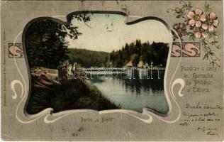 1902 Tábor, hr. Harrach do Pribenic u Tábora / Partie u Bredu / riverside. Art Nouveau, floral frame...