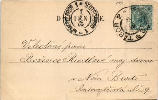 1902 Tábor, hr. Harrach do Pribenic u Tábora / Partie u Bredu / riverside. Art Nouveau, floral frame...