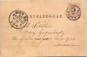 1898 Medgyes, Mediasch, Medias; látkép. Fritz Guggenberger kiadása / general view (fl)