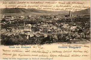 1905 Medgyes, Mediasch, Medias; látkép. Fritz Guggenberger kiadása / general view (EK)