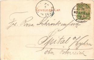 1902 Medgyes, Mediasch, Medias; látkép. Fritz Guggenberger kiadása / general view (fl)