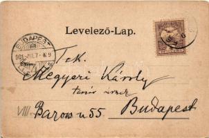 1901 Medgyes, Mediasch, Medias; Evangélikus erődtemplom. Fritz Guggenberger kiadása / Lutheran castl...