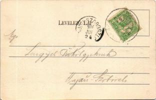 1906 Menyháza, Monyásza, Moneasa; Paradeyzer-negyed, villák / villas (EK)