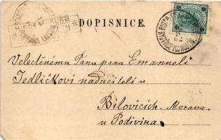 1902 Hostyn, Svaty Hostyn; castle, church. Art Nouveau, floral (EM)