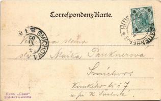 1902 Ceské Budejovice, Budweis; Schloss Frauenberg. Verlag Ant. Kovac / castle. Art Nouveau, floral ...