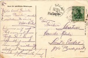 Petrzkowitz, Petrkovice; Gesamtansicht / view (EB)