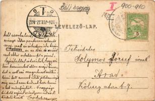 1906 Menyháza, Monyásza, Moneasa; Felső vízesés / waterfall (felületi sérülés / surface damage)