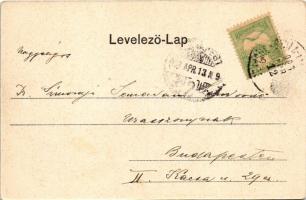 1903 Máriaradna, Mária-Radna, Radna (Lippa, Lipova); kegytemplom. Csauscher és Jesztl kiadása / pilg...