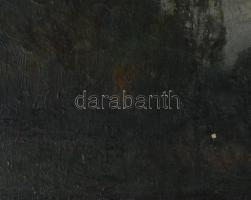 Olvashatatlan jelzéssel (...Ferenc?), XIX. sz. vége/XX. sz. eleje: Folyóparti táj. Olaj, vászon. Hát...