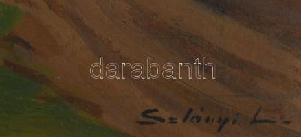 Szlányi Lajos (1869-1949): Táj. Olaj, karton, jelzett. Dekoratív, sérült fakeretben, 34×48 cm