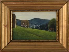 Molnár C. Pál (1894-1981): Napsütötte hegyvidéki táj. Olaj, fa, jelezve jobbra lent. Fakeretben, 20×...