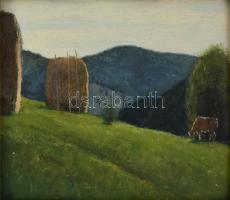 Molnár C. Pál (1894-1981): Napsütötte hegyvidéki táj. Olaj, fa, jelezve jobbra lent. Fakeretben, 20×...