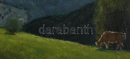 Molnár C. Pál (1894-1981): Napsütötte hegyvidéki táj. Olaj, fa, jelezve jobbra lent. Fakeretben, 20×...