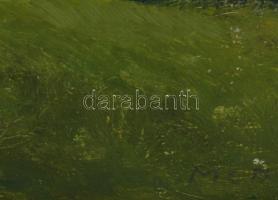 Molnár C. Pál (1894-1981): Napsütötte hegyvidéki táj. Olaj, fa, jelezve jobbra lent. Fakeretben, 20×...