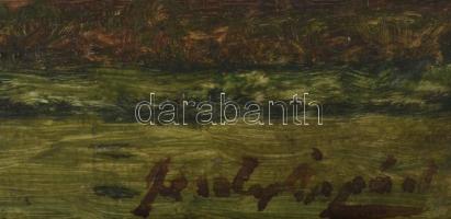 Feszty Árpád (1856-1914): Kislány a falu szélén. Olaj, karton, jelzett. Hátoldalán Feszty Masa (1895...