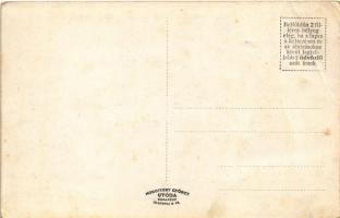 Leányfalu, panzió, szálló-épület, Keczéry Róth István szállodája, kerthelyiség, Duna strand csónakok...